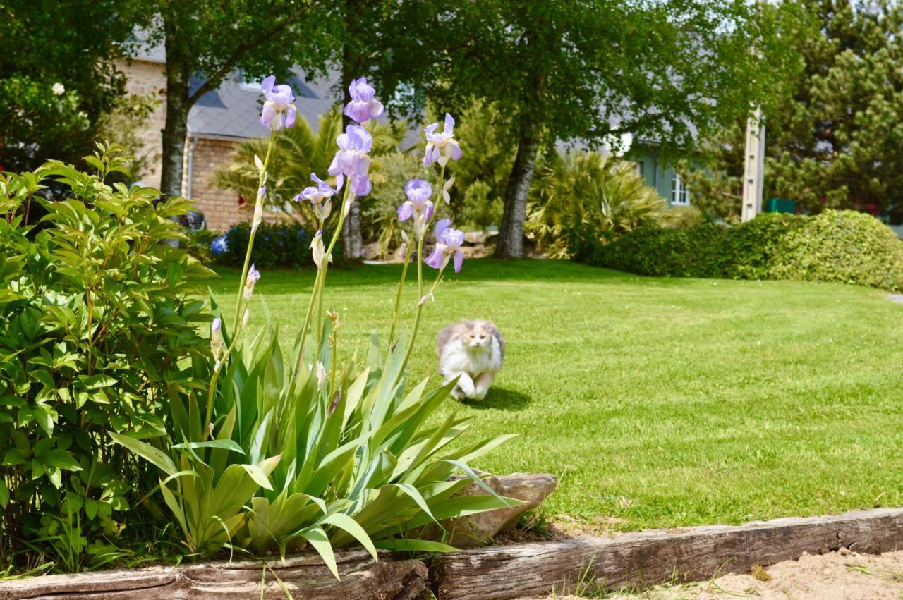 La Pichonniere Bed & Breakfast Isigny-le-Buat Exterior photo