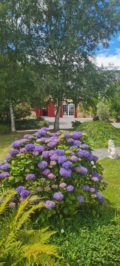 La Pichonniere Bed & Breakfast Isigny-le-Buat Room photo